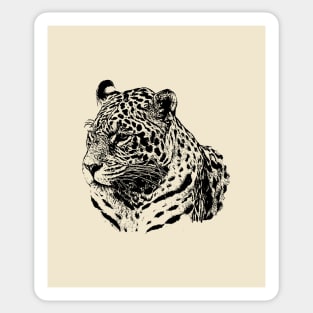 Jaguar portrait Sticker